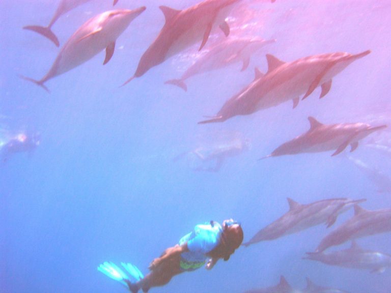 Sheoli Makara & dolphins in Hawaii