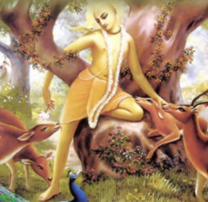 lord caitanya in the forest iskcon website