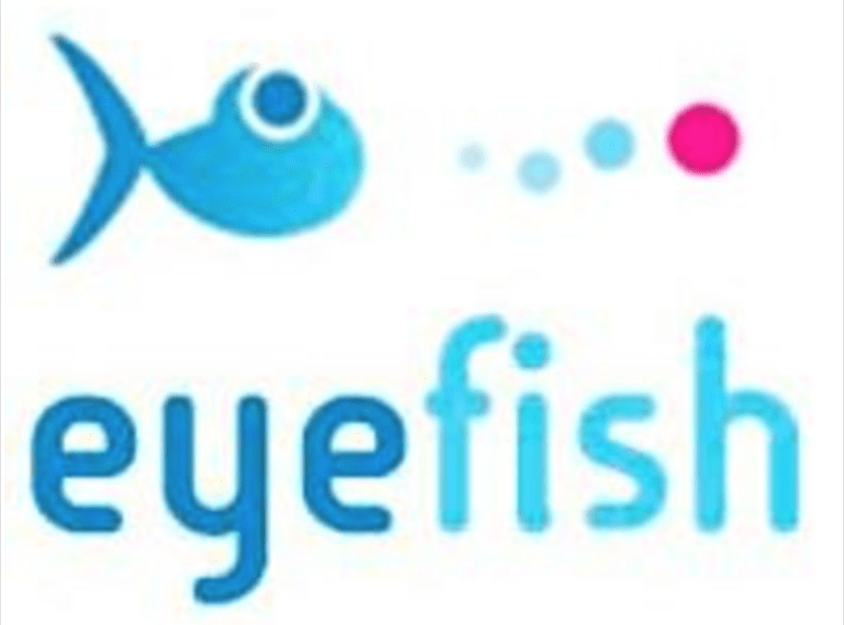 Eyefish founder eric huyton