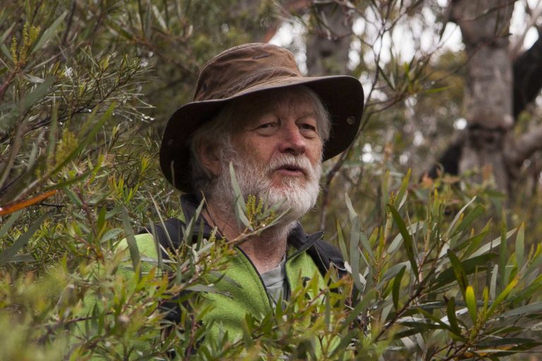 wyn jones in the blue mountains australia - colong wilderness website